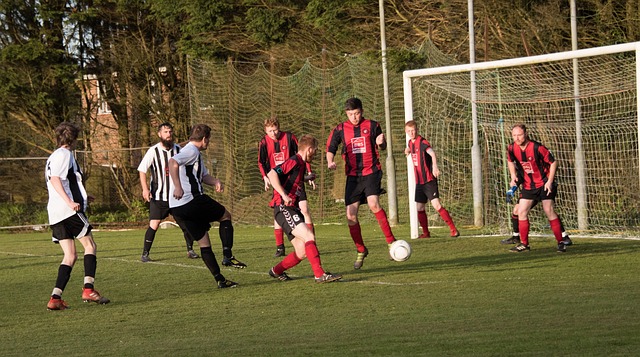 疑成为了亮 疑成为了亮