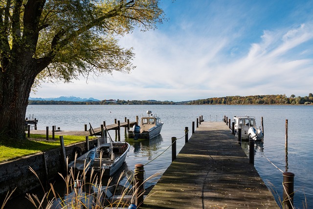 C的比赛中 C的比赛中