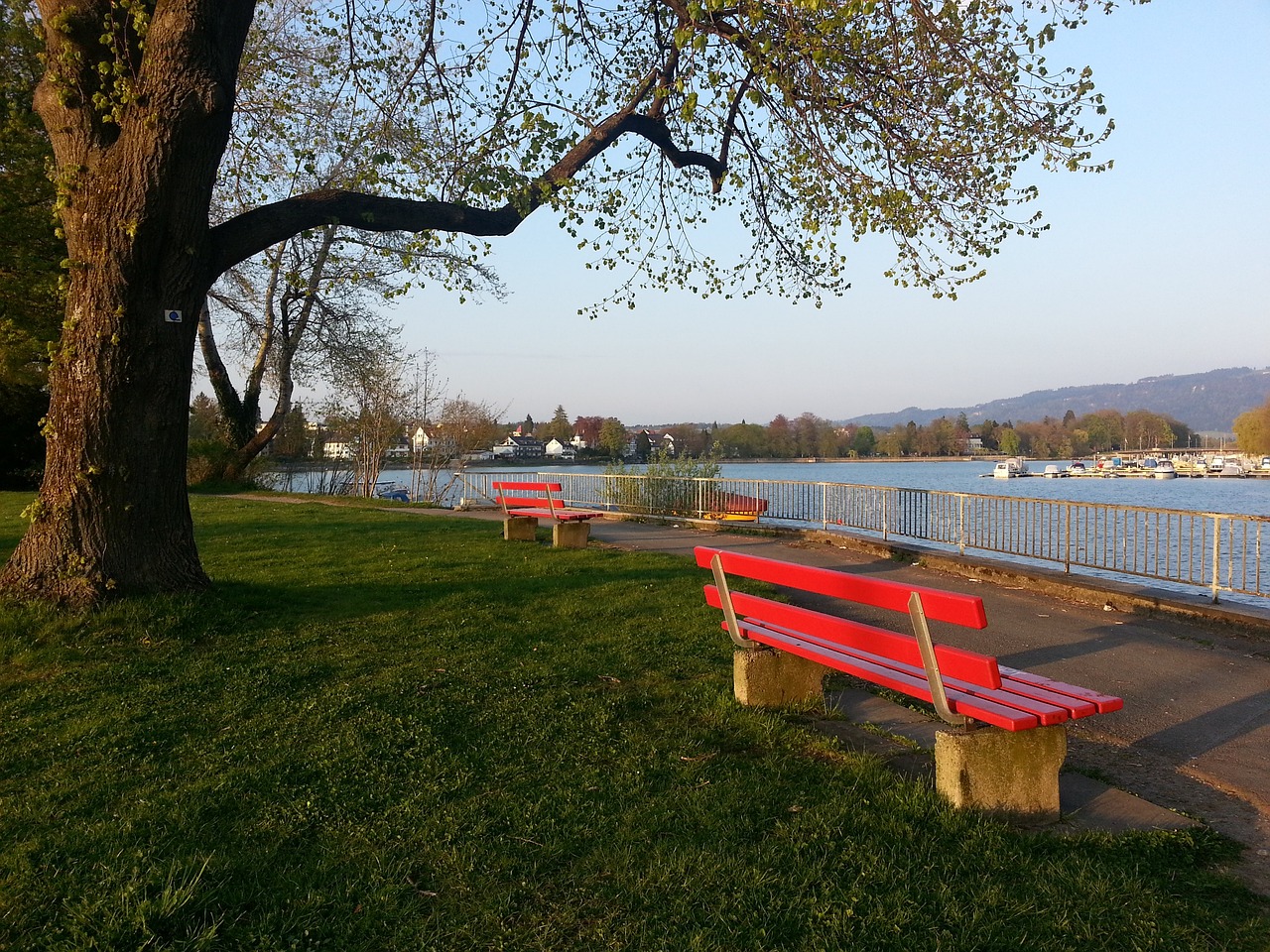 可能体现了 可能体现了