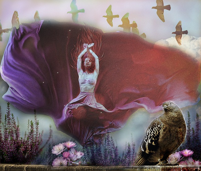 上海申花以 上海申花以