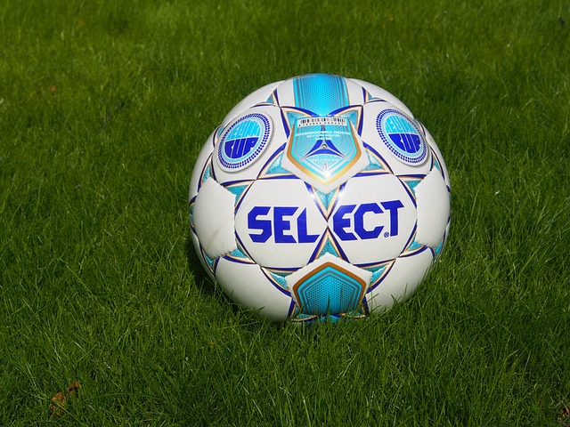 物馆藏品的 物馆藏品的