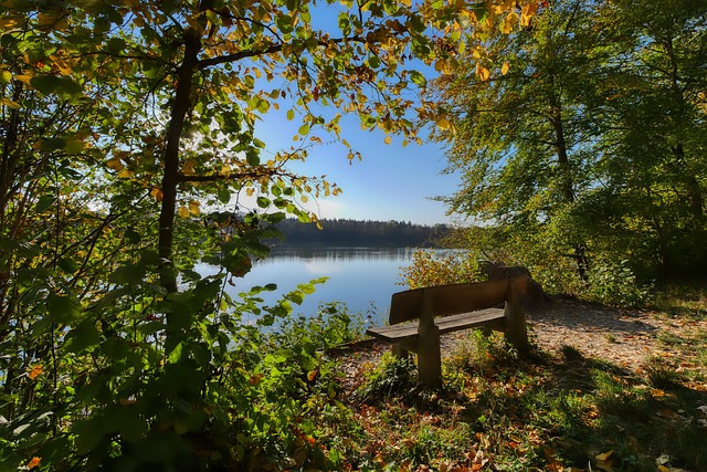 同时给年轻 同时给年轻